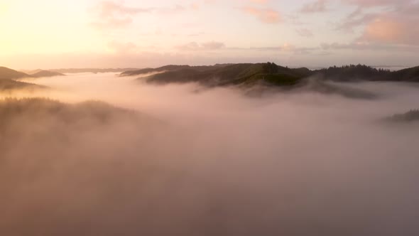 Log fog over Oregon forest at sunrise. Cinematic 4k drone flight.