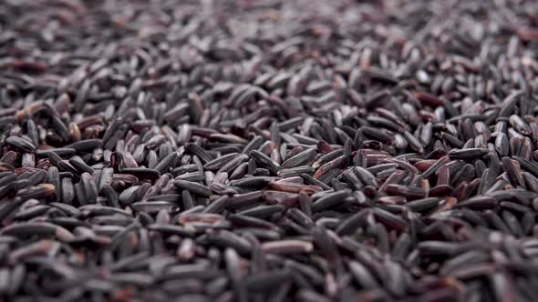 Dry black rice grains. Macro