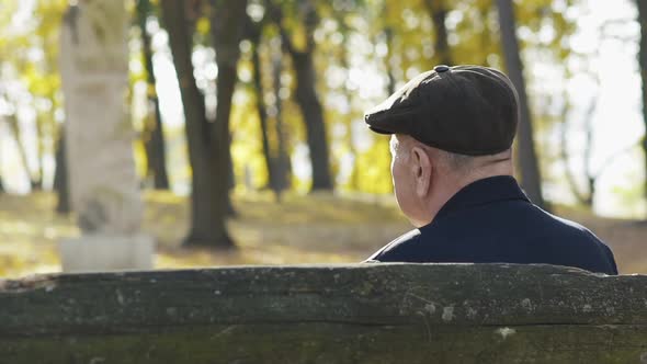 Back View of Man Sitting on Park Bench and Correcting Cap When Looking Straight