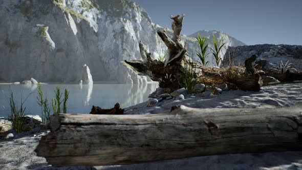 White Sand Beach Near Rocky Cliffs at Ocean