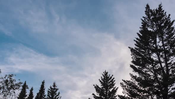 Pine trees with clouds rolling time lapse in Rocky Mountain National Park