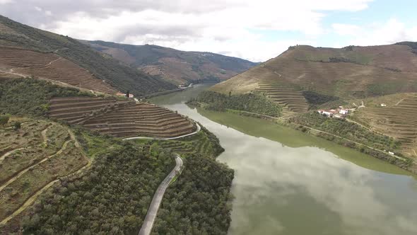 Road Along Rows of Vineyards. Douro Region, Portugal