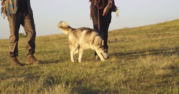 The Couple Travels with the Dog