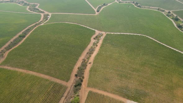 Aerial spin of the sections of a vineyard in the Leyda Valley, Chile.