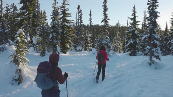 Adventure Girl Friends Hiking in Canadian Mountain Nature During Winter Sunny Morning