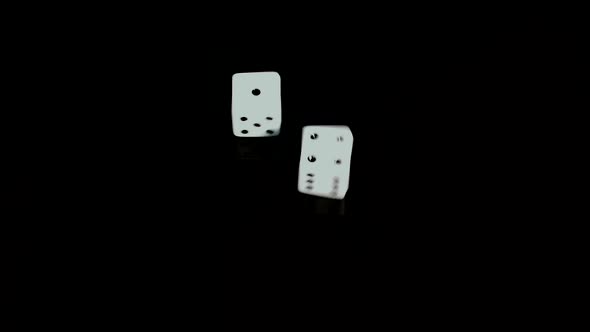 Dice Roll One Four Totalling 5