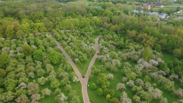 View From the Height of the Loshitsky Park in Minsk.Winding Paths in Loshitsky Park.Belarus.Apple