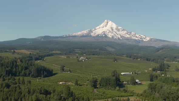 Aerial View of American Landscape and Green Farm Fields with Mount Hood in the background. Taken in