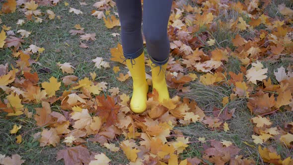 Women Feet In Boots Go On The Park In The Autumn And Kick Yellow Fallen Leaves