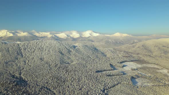 Aerial View of Winter Landscape with Mountain Hills Covered with Evergreen Pine Forest After Heavy