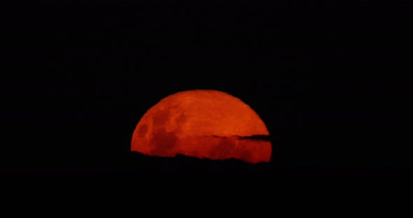 Full moon rising over the horizon, blood moon, super moon