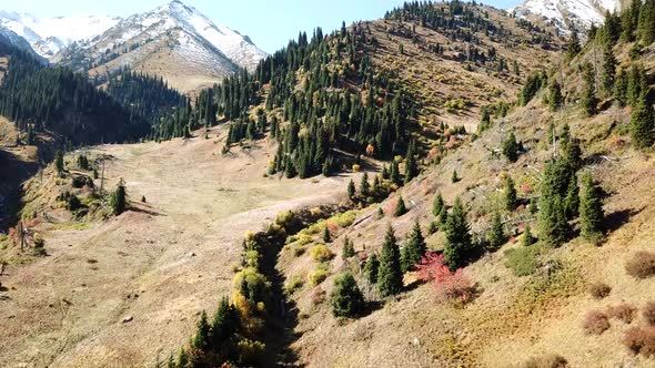 Autumn landscape in the mountains. Snowy peaks, yellow-green grass, orange-red bushes