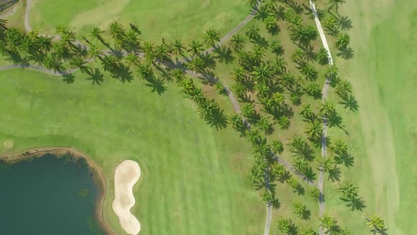 Aerial view of Golf Course with putting green grass and trees