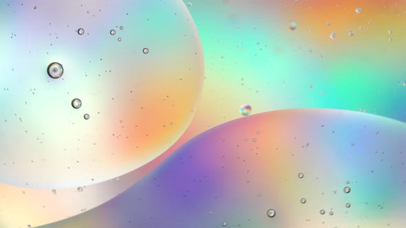 Oil drops in water macro. Abstract vivid colorful rainbow holographic light background