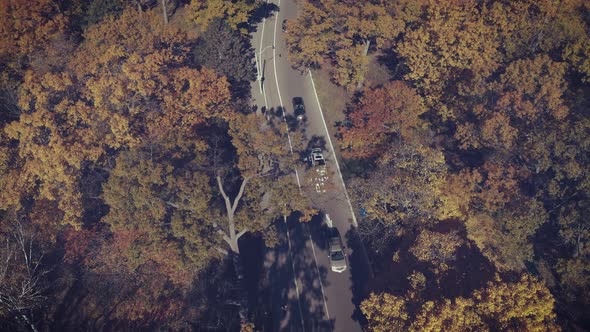 High Park Flying Low Graded