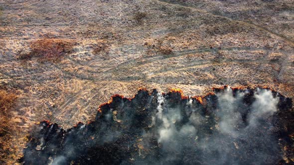 Aerial view farmers burn dry grass on their plots