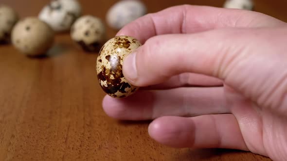 Female Hand Holds One Quail Egg on a Background of a Table with Quail Eggs