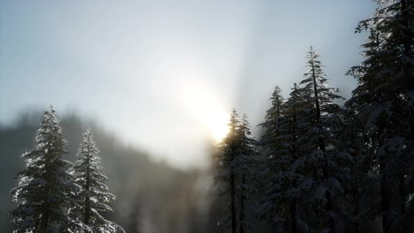 Dramatic Winter Sunrise in the Mountains