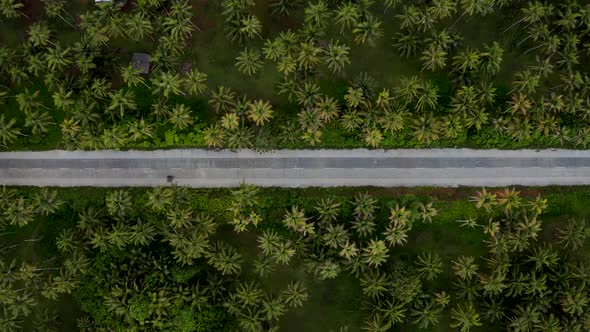 jungle area in the philippines, aerial view