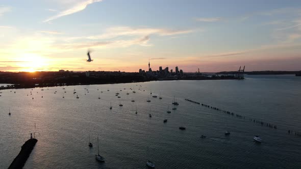 Viaduct Harbour, Auckland New Zealand