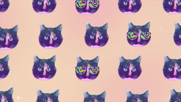Collage Animation of Cat Faces Fly in Minimal Motion Design