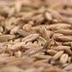 gluten free oat grain, low angle view on turntable - VideoHive Item for Sale