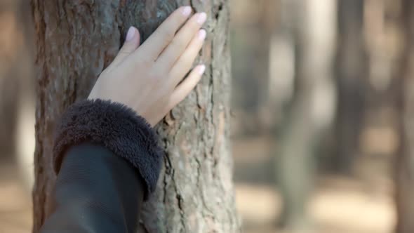 Beautiful Healthy Girl Walking In Greenwood. Carefree Female Exploring Autumn Forest In Sunny Time.