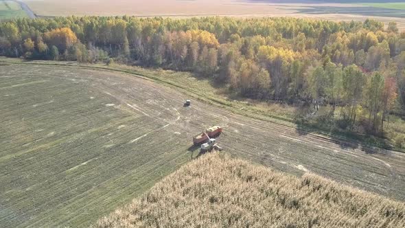 Aerial View Silorator and Truck Work at Silage Harvesting