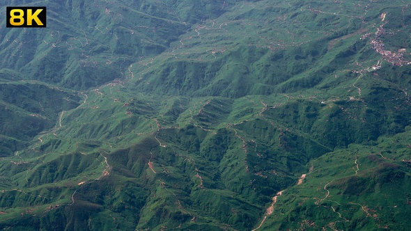 Aerial View Forest