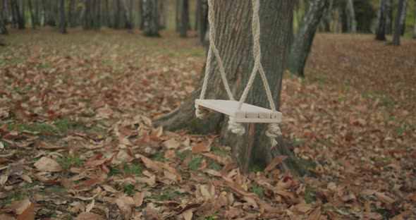 Swinging Swing on Empty Public Park in Autumn. Leafs in Playground on the Floor. Slow Motion