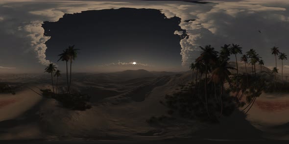 VR 360 Degree Aerial Panorama of Palms in Desert