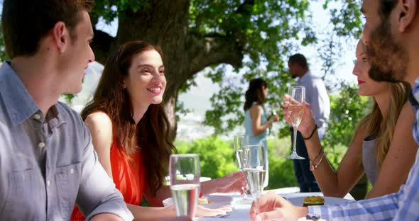 Group of friends interacting with each other while having lunch