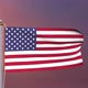 United States Of America Flag - VideoHive Item for Sale