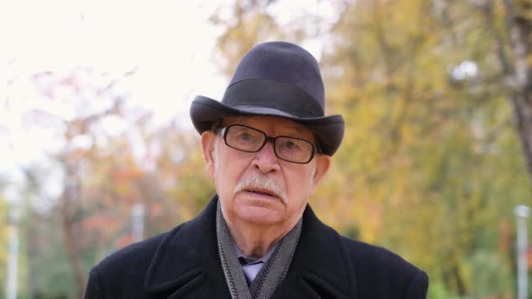 Elderly Grayhaired Man Walking in the Autumn Park a Lot of Yellow Leaves on the Sidewalk