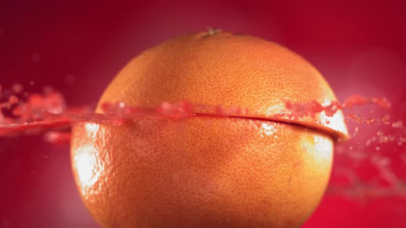 Half Grapefruit Falling and Splashing on Fuchsia Background