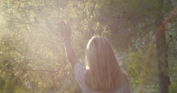 Back Side Portrait of Elegant Longhaired Woman Walking Towards Blurry Bokeh Sun