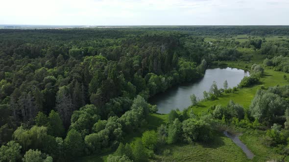 A Wide River Stretched Through The Forest