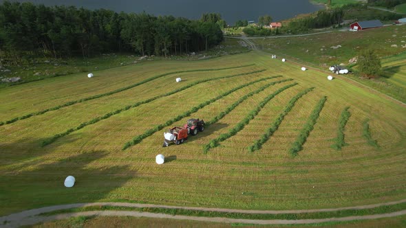 Tractors collect foliage crops for silage, and make plastic wrapped bales, aerial