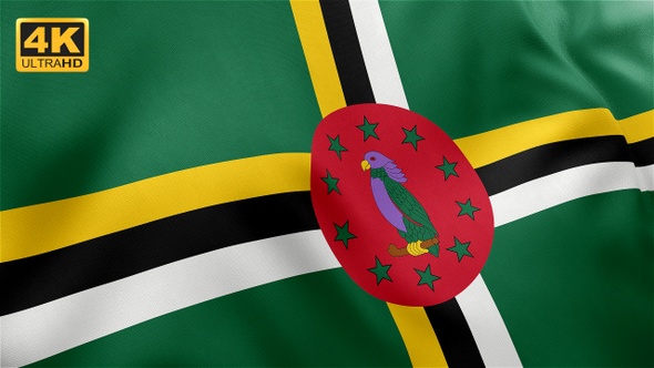 Dominica Flag - 4K