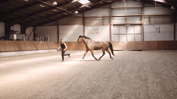 Young Woman Running And Playing With Horse