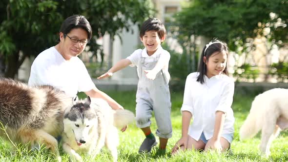 Happy Asian Family Playing With Siberian Husky Dog In The Garden Slow Motion