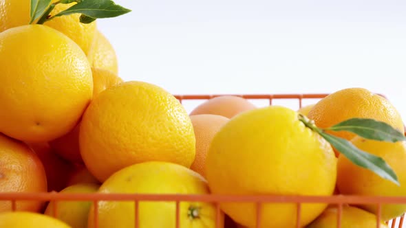 Close-up of sweet limes in basket