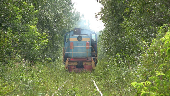 Locomotive Driving To The Distance Between Bushes