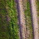 Endless Rows of Crop on a Farmland Aerial Drone Shot - VideoHive Item for Sale