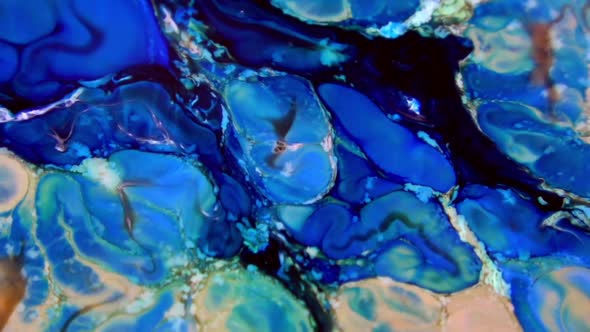 Liquid Colorful Paint Pattens Mix In Slow Motion 