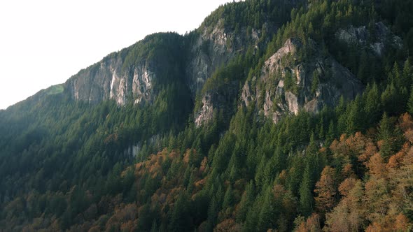 Majestic Mountain Aerial Of Autumn Color Trees Below Tall Rocky Cliffs