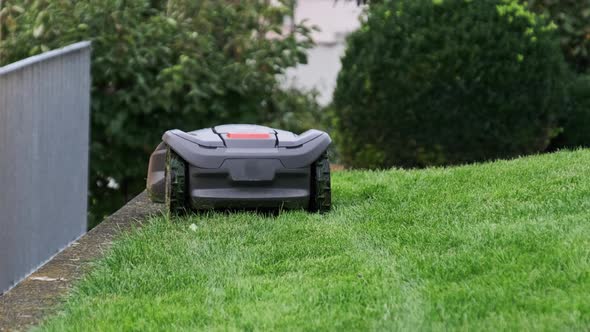 Robotic Lawn Mower Moving Across Lawn Robot Cuts Green Grass in the Backyard