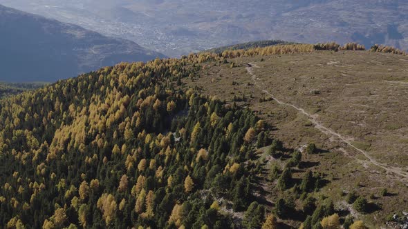 Aerial shot of larch forest with autumn colorsRhône valley, Sion and surrounding summits in the bac