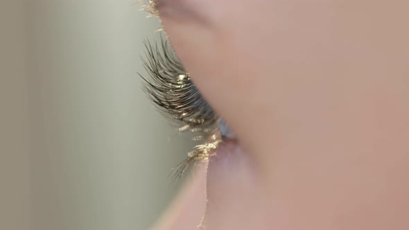 Female Eye with Beautyful Eyelashes