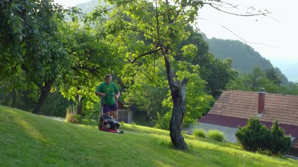 Man mowing his lawn with petrol rotary mower going around fruit tree avoiding tree branches. Aerial